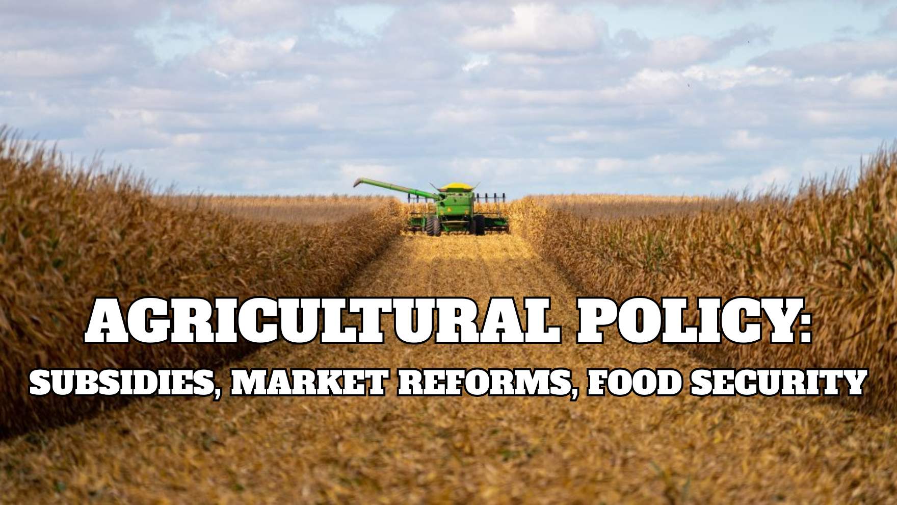 Agricultural Policy Subsidies, Market Reforms, Food Security